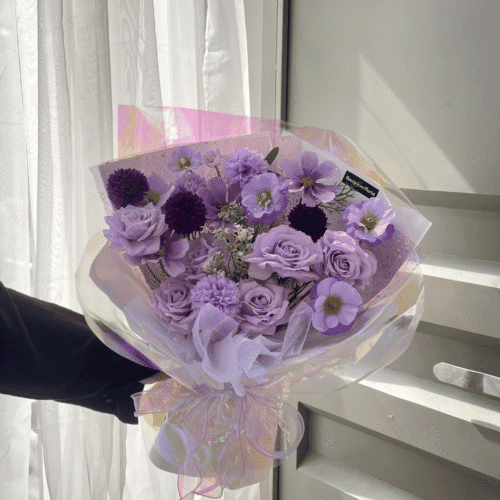 Perfect lilac (MEDIUM TO LARGE)