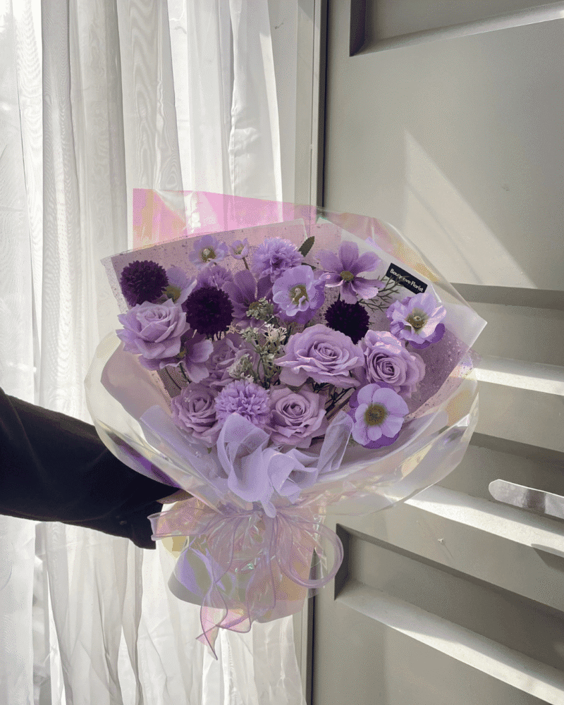 Perfect lilac (MEDIUM TO LARGE)
