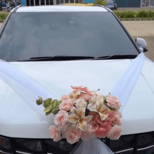 Dekorasi mobil