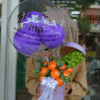Fruit bloom