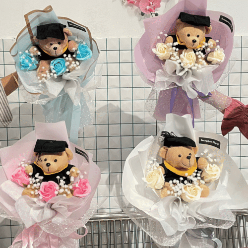 Grad Bear Collection (MEDIUM)