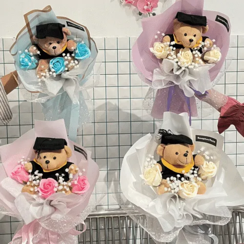 Grad Bear Collection (MEDIUM)