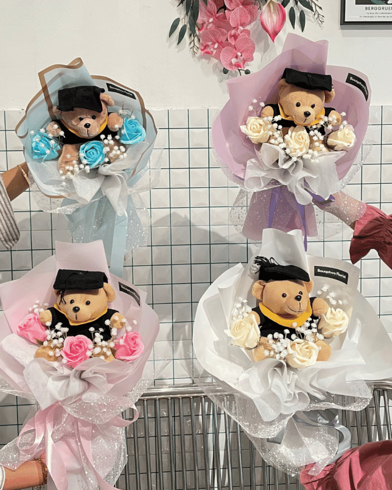 Grad Bear Collection (MEDIUM)