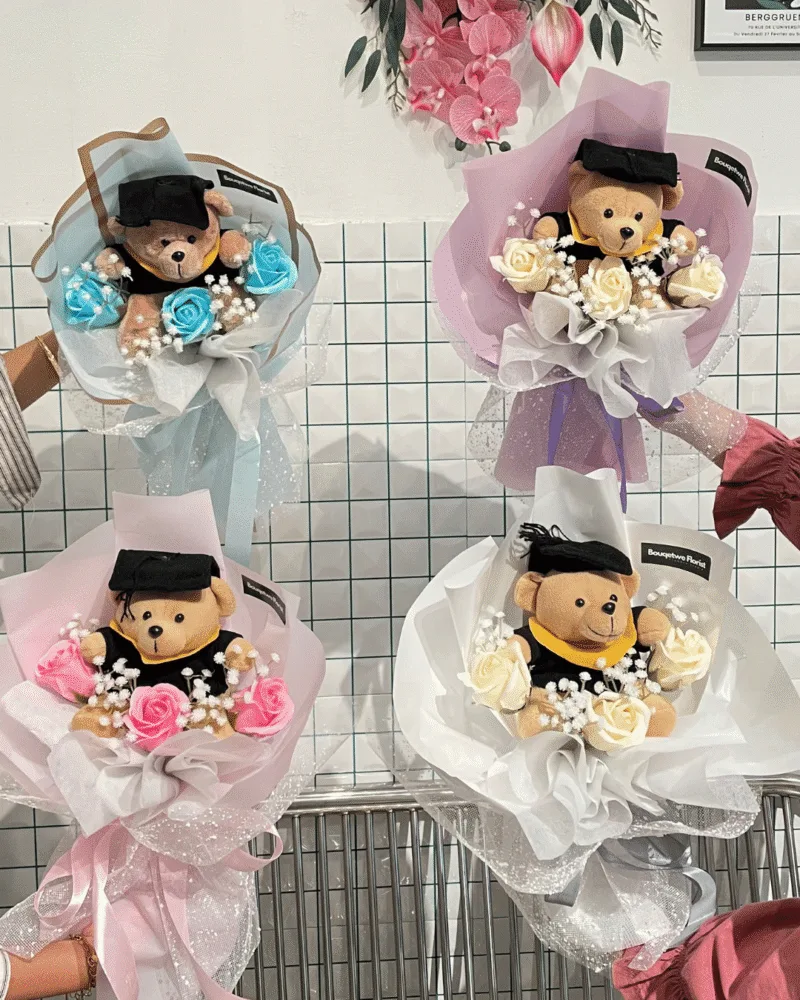 Grad Bear Collection (MEDIUM)