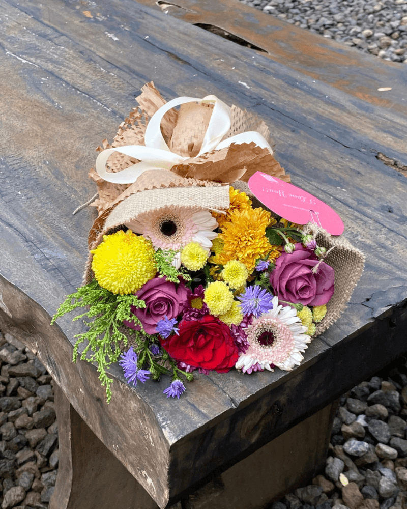 Cutelle petals (MEDIUM)