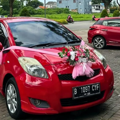 Dekorasi mobil full