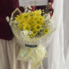 Lemonade (SMALL)